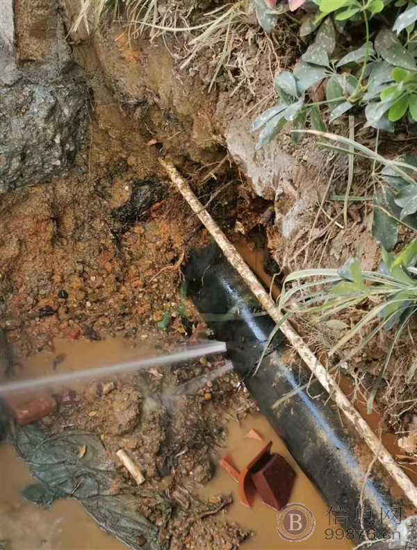 埋地管道探测探漏 水管漏水检测